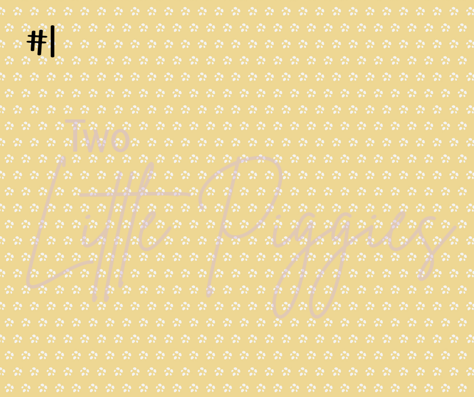 Printed Vinyl - Nativity - Muted Tones