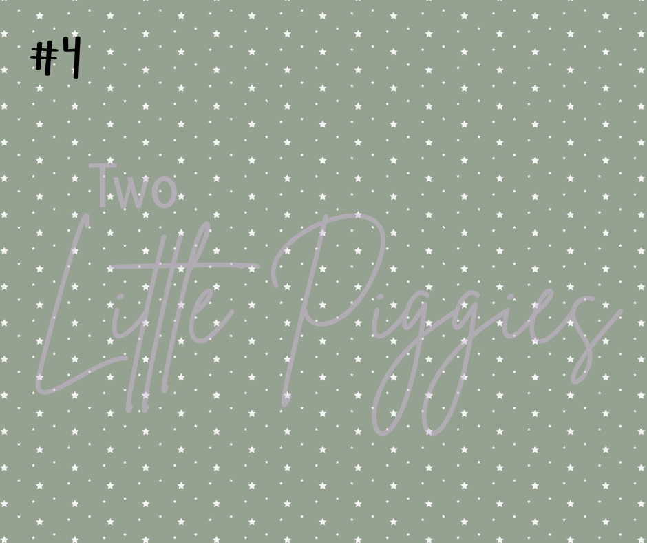 Printed Vinyl - Nativity - Muted Tones