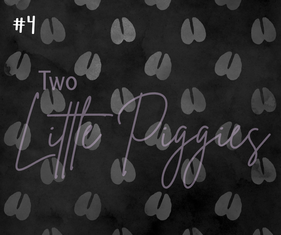 Printed Vinyl - Taurus - Black and Gold