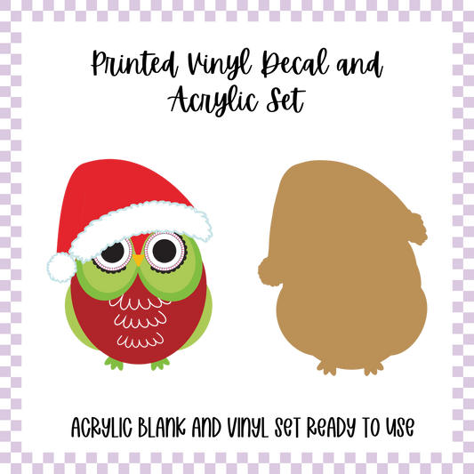 Printed Vinyl and Acrylic Set - Santa Owl