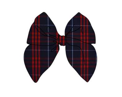 Audubon School - Hair Accessories