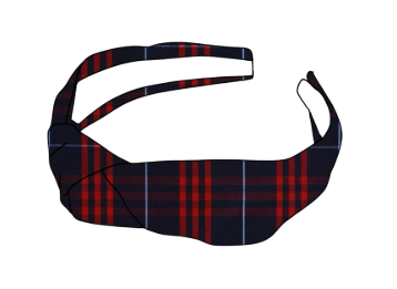 Audubon School - Hair Accessories