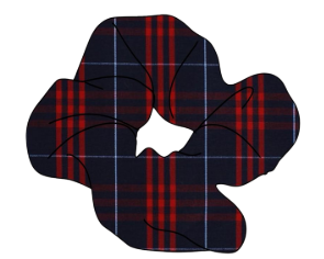 Audubon School - Hair Accessories