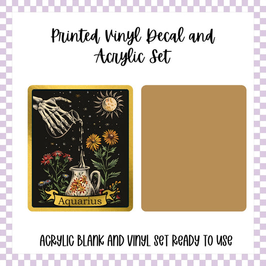 Printed Vinyl and Acrylic Set - Skeleton Tarot Aquarius