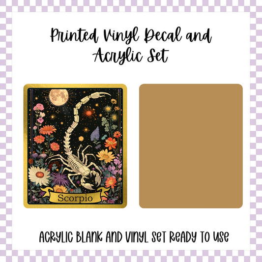 Printed Vinyl and Acrylic Set - Skeleton Tarot Scorpio